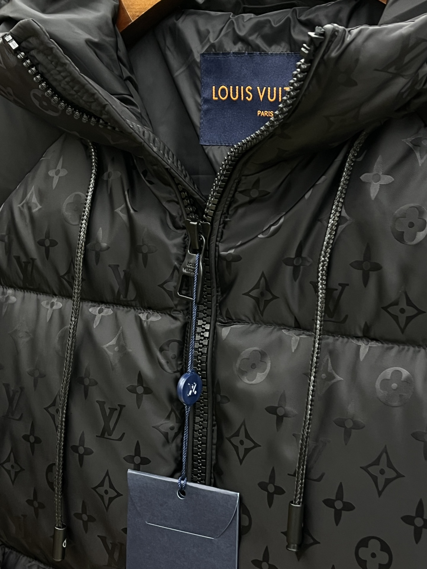 Louis Vuitton Down Jackets